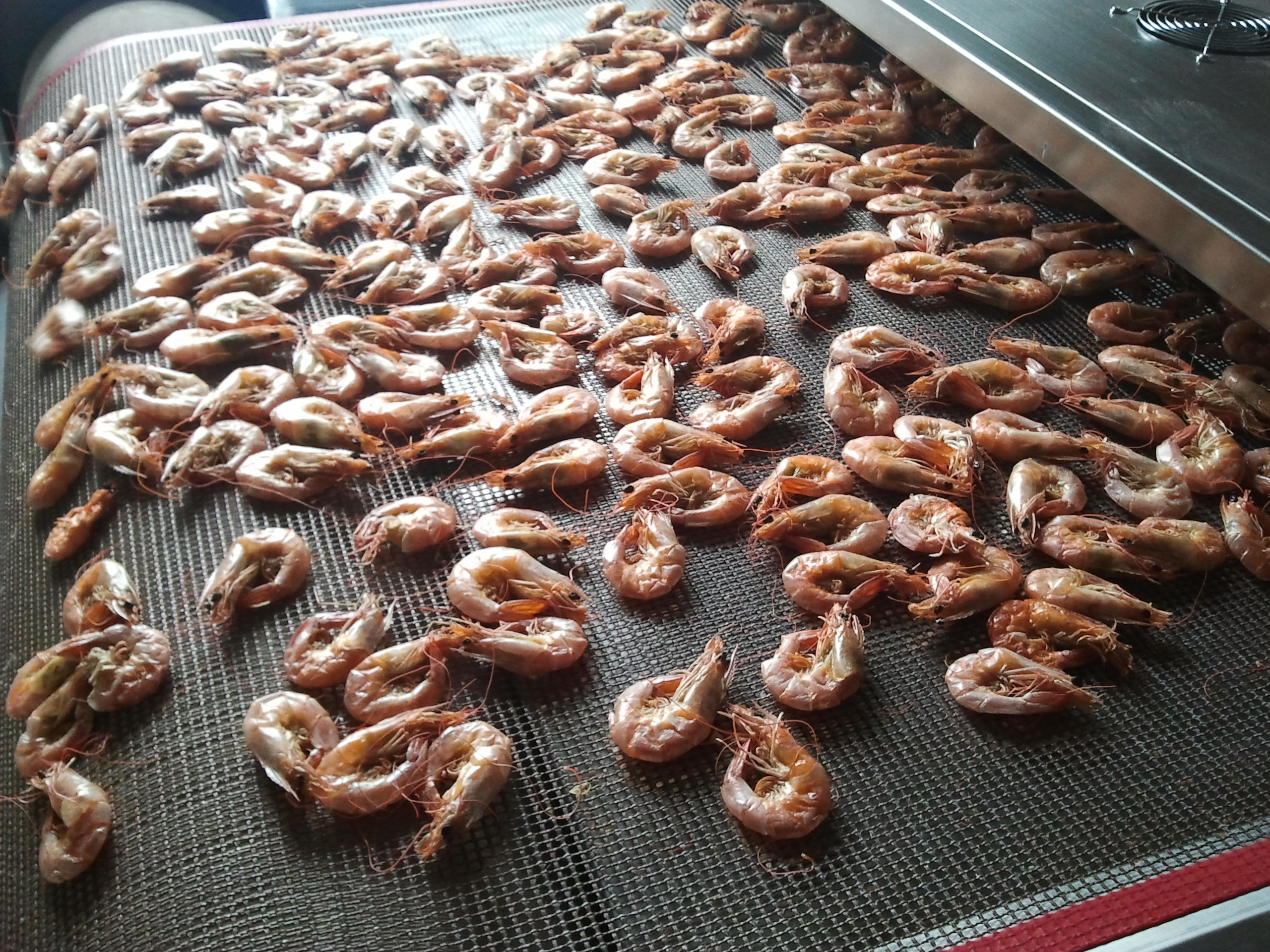 南美白對(duì)蝦微波烘烤設(shè)備